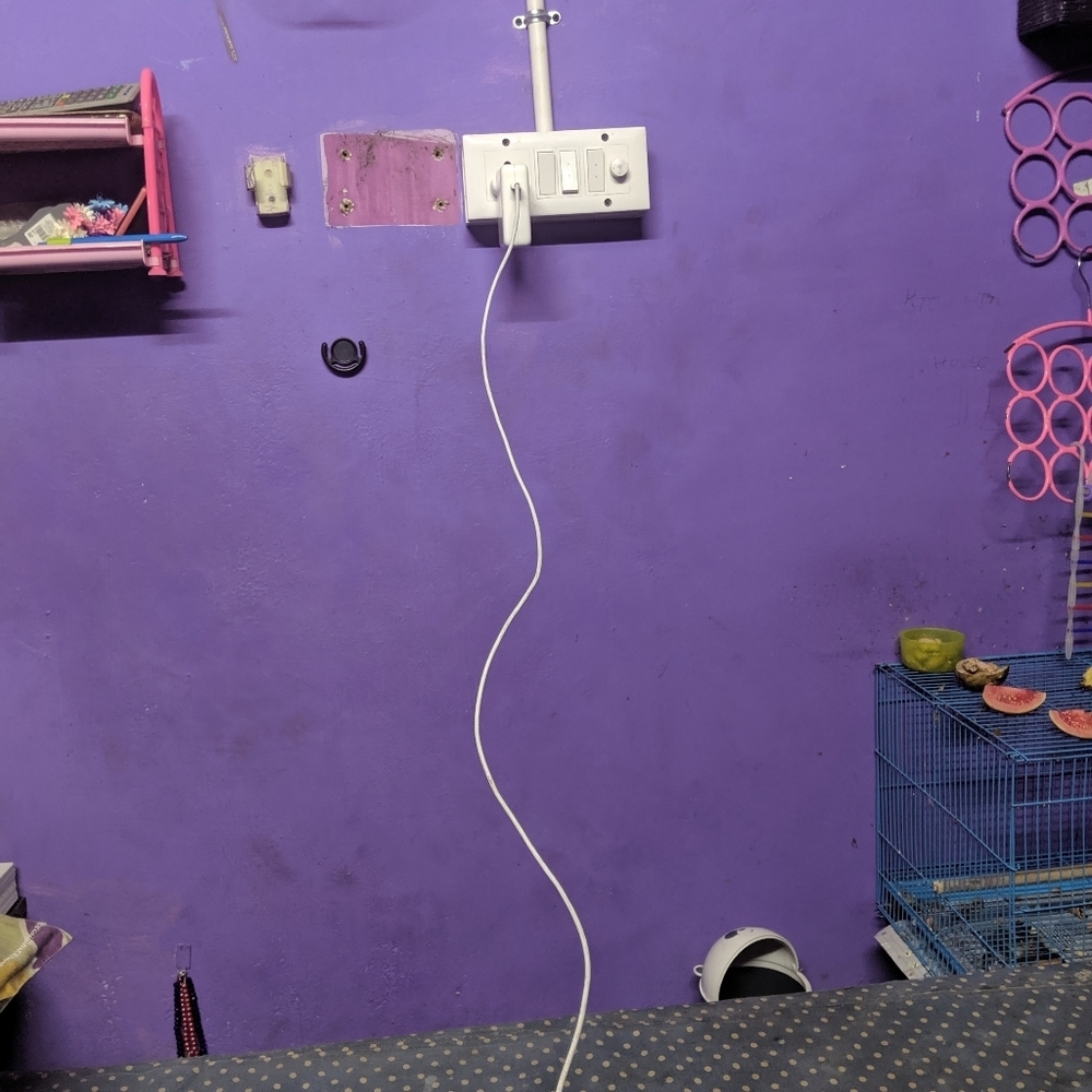 Decor